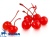 картинка Черешня Коктейль с веточкой красная (ж/банка 3 кг) 84148                   от Торговой Компании "Зима"