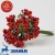 картинка Застежки-Цветы,12 штук, темно-красные (упаковка 10 букетиков) 59501 от Торговой Компании "Зима"
