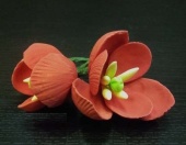 11927D  .Цветы из мастики (2 шт упаковка ) Тюльпан красный