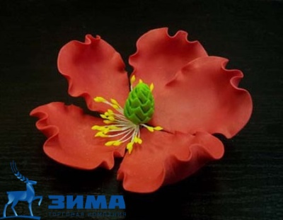 картинка Цветы из мастики (1 шт) 11924*D Мак красный от Торговой Компании "Зима"